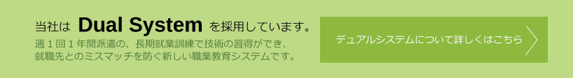 デュアルシステムについて詳しくはこちら
